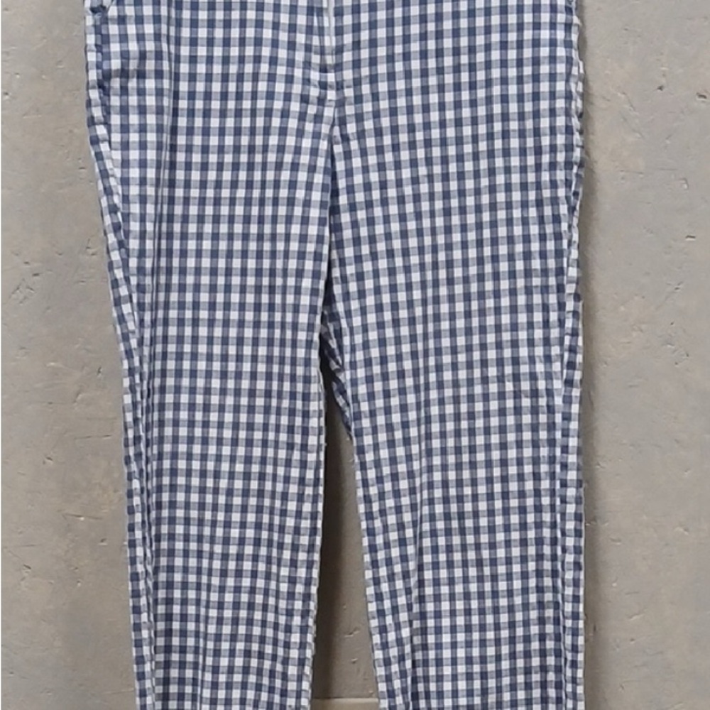 Tyler Boe Blue & White Gingham Pants - Picture 2 of 4